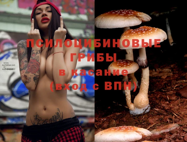 прущая мука Богородицк