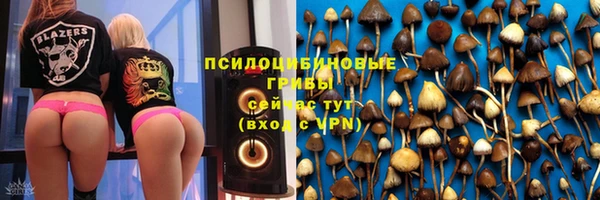 mdma Богданович