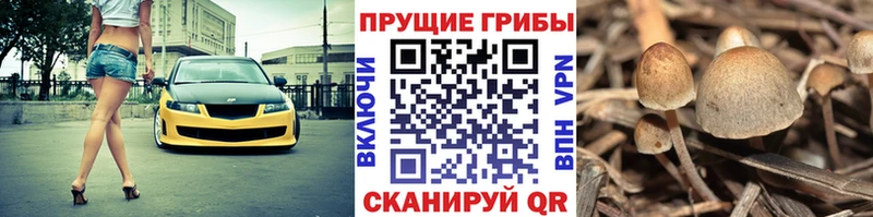 Псилоцибиновые грибы мицелий  МЕГА зеркало  Семикаракорск 